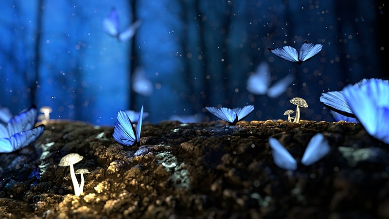 Fantasy Garden